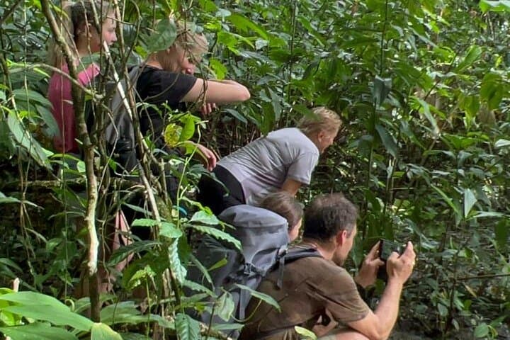 Corcovado Full-Day Hike from Puerto Jiménez — La Leona & Matapalo Waterfall photo 2