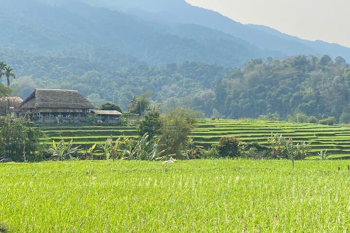 Ha Giang Loop: 4D3N Self-Driving Small-Group Tour with Homestays photo 5