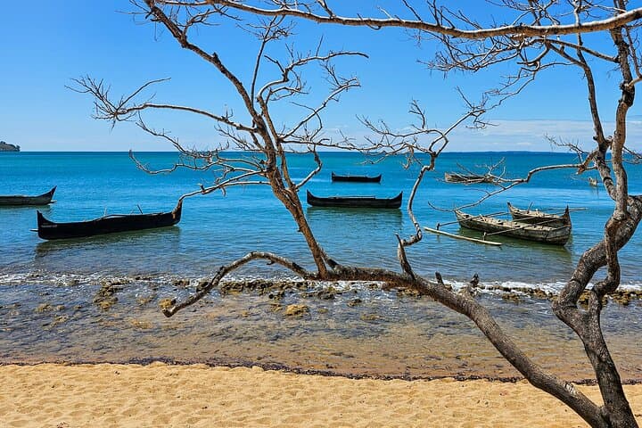Lokobe Reserve Day Tour: Pirogue Trek, Endemic Lemurs & Beach Lunch photo 6