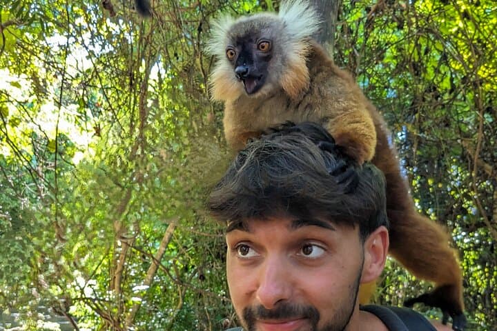 Lokobe Reserve Day Tour: Pirogue Trek, Endemic Lemurs & Beach Lunch