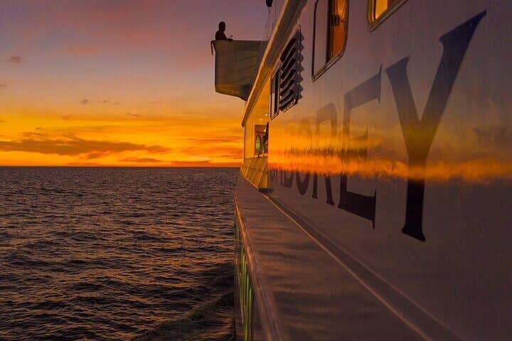 Cabo San Lucas Sunset Dinner Cruise — Premier Dinner with Live Music & Open Bar photo 6