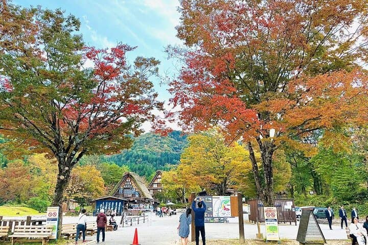 Takayama and Shirakawa-go Day Tour from Nagoya: Historic Streets to Thatched Roofs