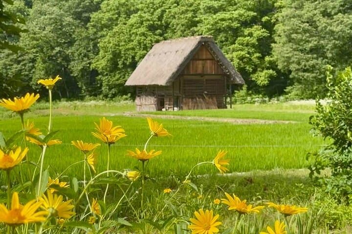Takayama and Shirakawa-go Day Tour from Nagoya: Historic Streets to Thatched Roofs photo 5