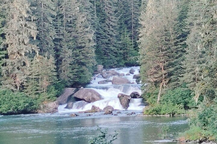 Floatplane Wilderness Hike in Tongass National Forest — Private Seaplane Tours from Juneau photo 4