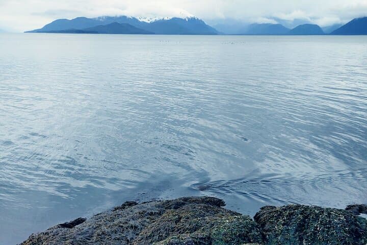 Floatplane Wilderness Hike in Tongass National Forest — Private Seaplane Tours from Juneau photo 5