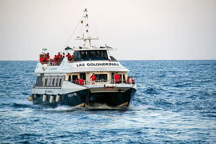 Barcelona Las Golondrinas Sightseeing Cruise — See Barcelona from the Sea photo 3