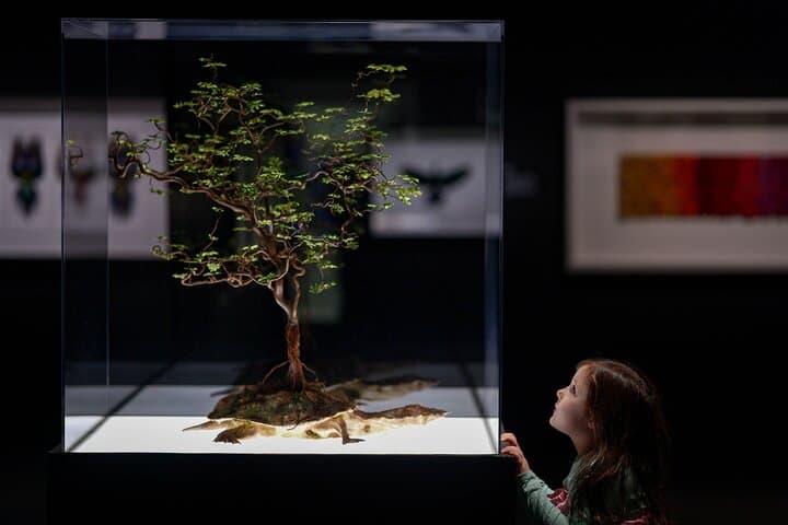 Exquisite Creatures Exhibit by Christopher Marley in Seattle — Natural Specimen Art Experience photo 2