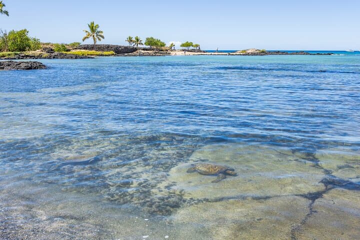 Exploring Kona’s Diverse Landscapes: A Private Tour from Coffee Fields to Pristine Beaches photo 3