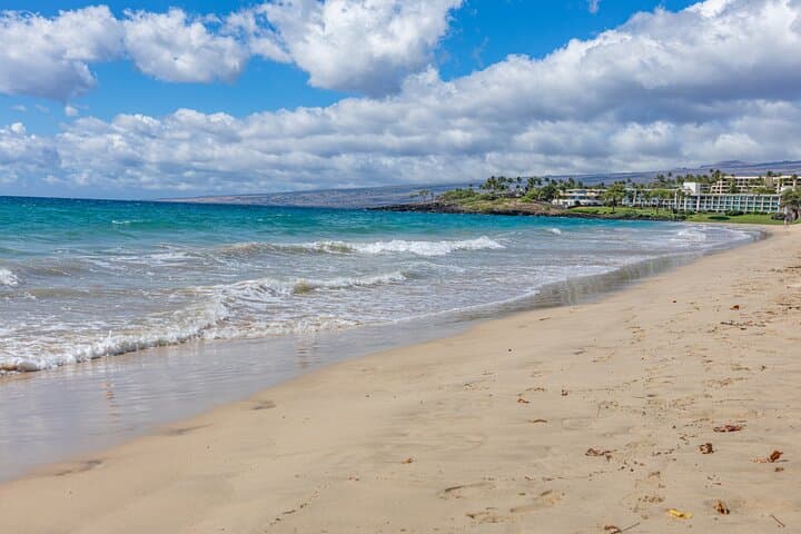 Exploring Kona’s Diverse Landscapes: A Private Tour from Coffee Fields to Pristine Beaches photo 5