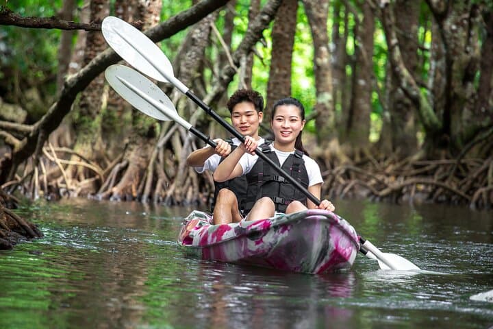 Ishigaki Mangrove SUP and Canoe Tour to Taketomi Island photo 3