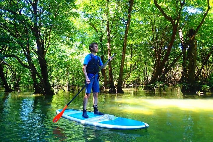 Ishigaki Mangrove SUP and Canoe Tour to Taketomi Island photo 2