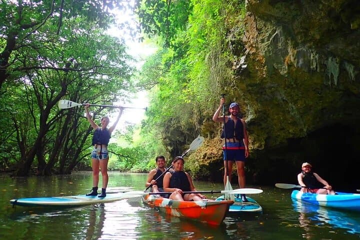 Ishigaki Mangrove SUP and Canoe Tour to Taketomi Island photo 5