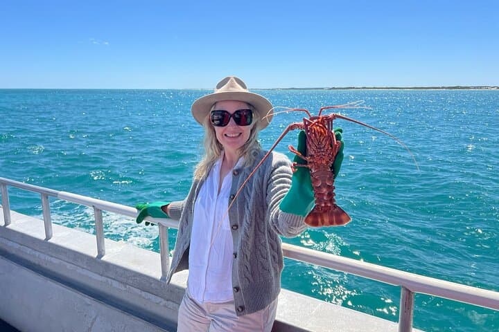 Pinnacles Desert & Catch-Your-Own-Lobster Safari from Perth