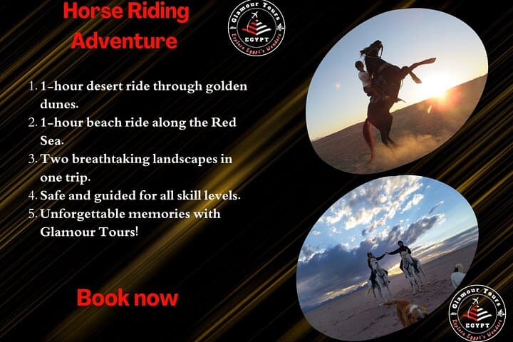Horseback Riding in Hurghada: 2-Hour Desert and Red Sea Beach Ride