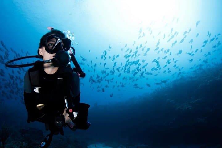 Hurghada Red Sea Yacht: Two Dives, Snorkel Stops & Lunch
