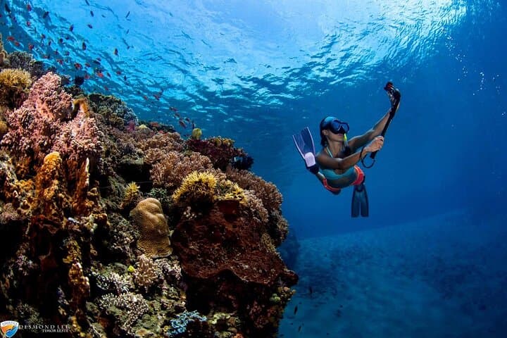 Hurghada Red Sea Yacht: Two Dives, Snorkel Stops & Lunch photo 3