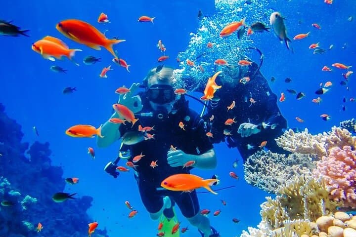 Hurghada Red Sea Yacht: Two Dives, Snorkel Stops & Lunch photo 5