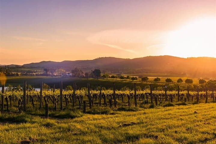 Yarra Valley Night Wine, Whisky & Dinner Private Tour from Melbourne photo 6