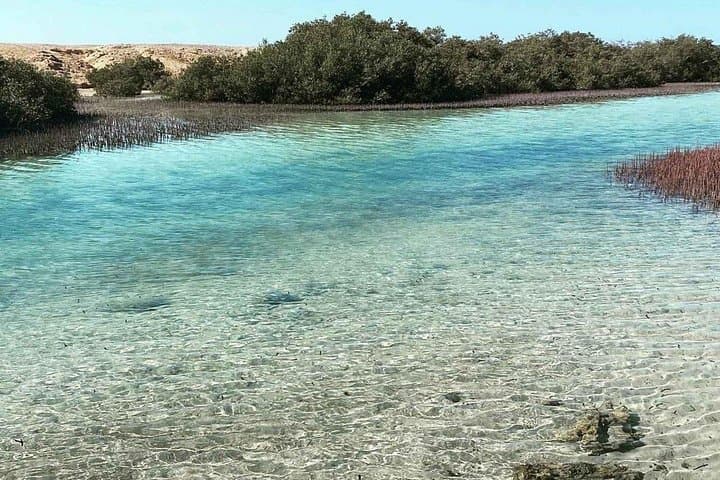 Ras Mohammed & Magic Lake Half-Day Tour from Sharm El Sheikh — Snorkel Mangroves and the Earthquake Crack photo 2