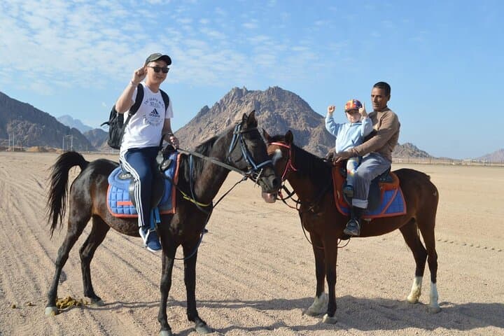 Hurghada Horseback Ride and Turkish Hammam Spa Experience photo 5