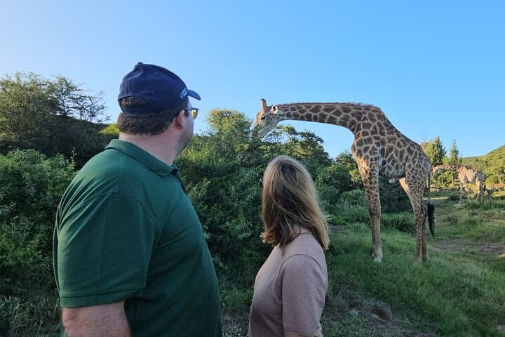 Giraffe Walk and Game Drive at Addo: Up-Close Safari Experience photo 2