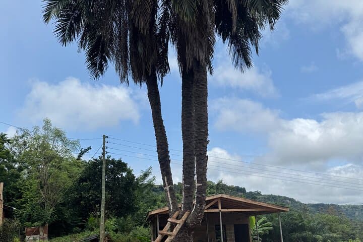 Accra Day Tour: Boti Falls, Umbrella Rock, Aburi Botanical Gardens & Tetteh Quarshie Cocoa Farm