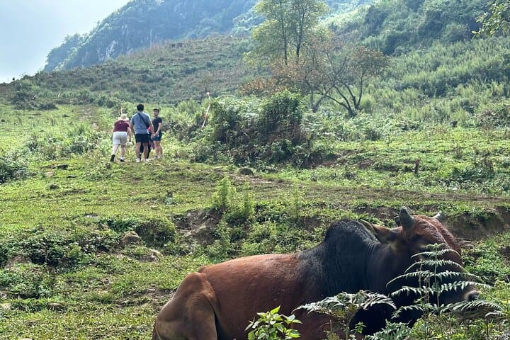Sapa Day Trek: Sa Seng to Hang Da and Hau Thao Villages photo 5