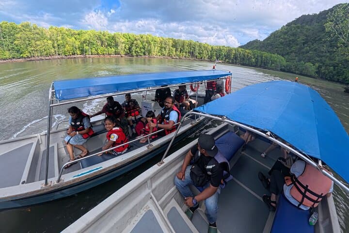 Langkawi Mangrove Night Safari: Kilim Geoforest Fireflies & BBQ Cruise photo 5