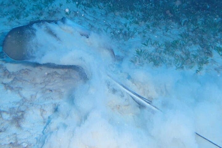 Discover Scuba at Little Bay, Anguilla — PADI Introductory Dive for Beginners photo 4