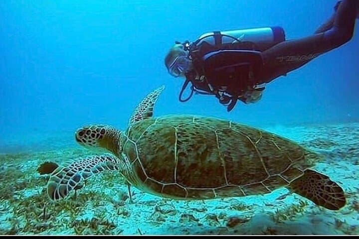 Discover Scuba at Little Bay, Anguilla — PADI Introductory Dive for Beginners