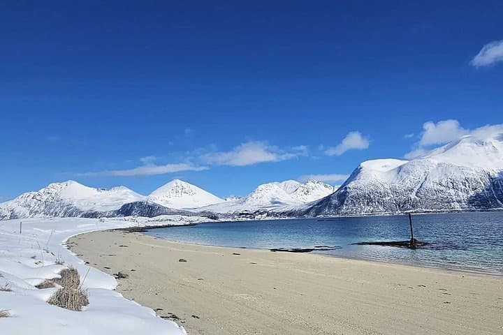 Tromsø to Sommarøy: Arctic Fjords Day Trip with Lunch photo 5