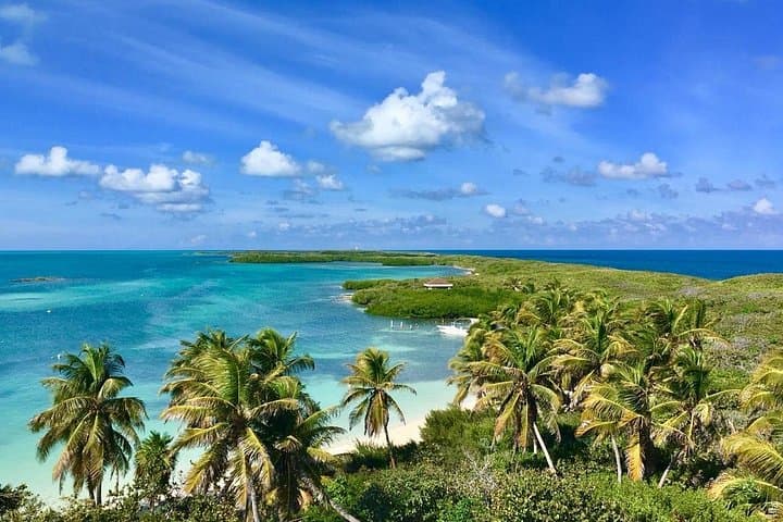 Paradise Island: Contoy and Isla Mujeres Day Trip from Playa del Carmen photo 4