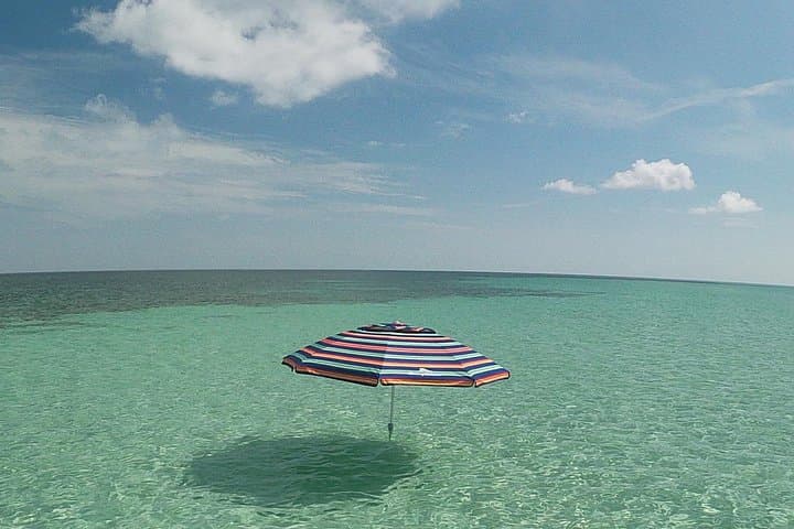 Luxury Sandbar Snorkel Charter in Key West: Private Boat to the Reef photo 4