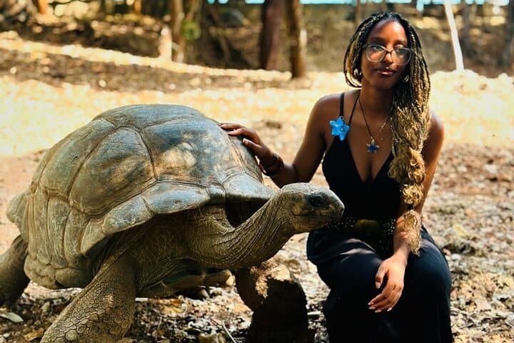 Nakupenda Sandbank & Prison Island: Full-Day Boat Tour from Stone Town photo 3