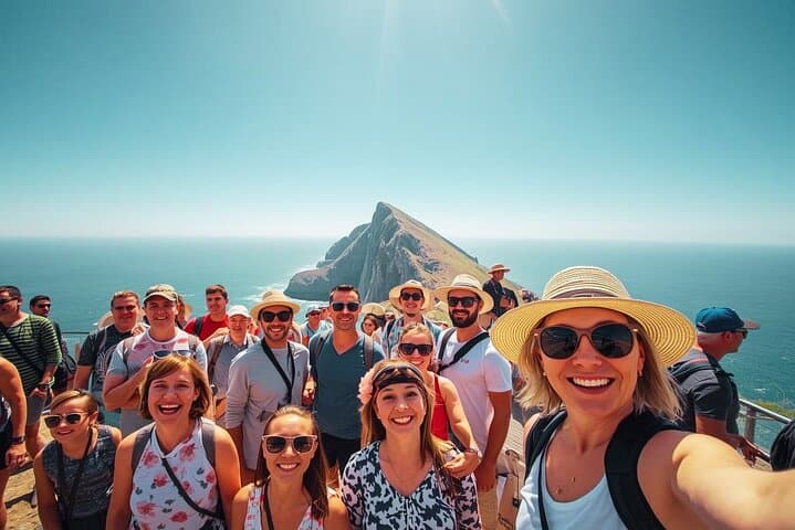 Table Mountain to Cape Point: Full-Day Shared Tour with Boulders Penguins