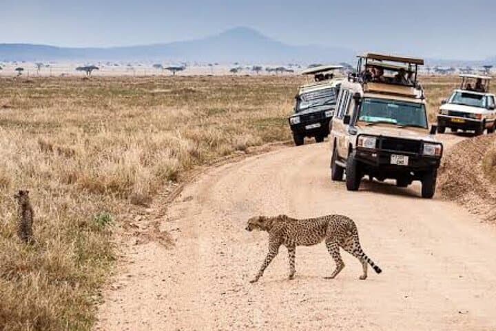 2-Day Tarangire & Ngorongoro Crater Big Five Safari from Arusha photo 6