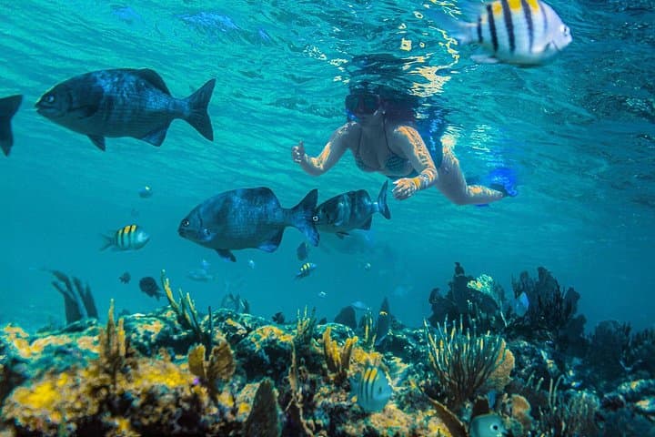 Sail to Inah Reef: Riviera Maya Catamaran Snorkel with Lunch & Open Bar photo 2