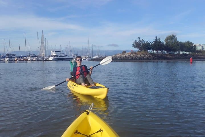 Redwood City Kayak Rental: Self-Guided Paddles on San Francisco Bay photo 2