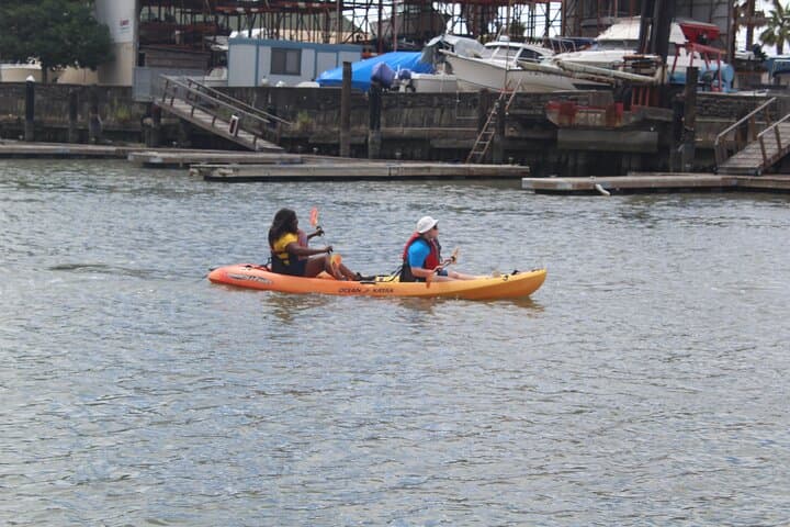 Redwood City Double Kayak Rental on San Francisco Bay photo 2