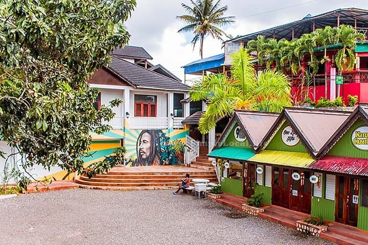 Nine Mile Bob Marley Tour from Ocho Rios: Rastafari Culture & Scenic Fern Gully Drive photo 5