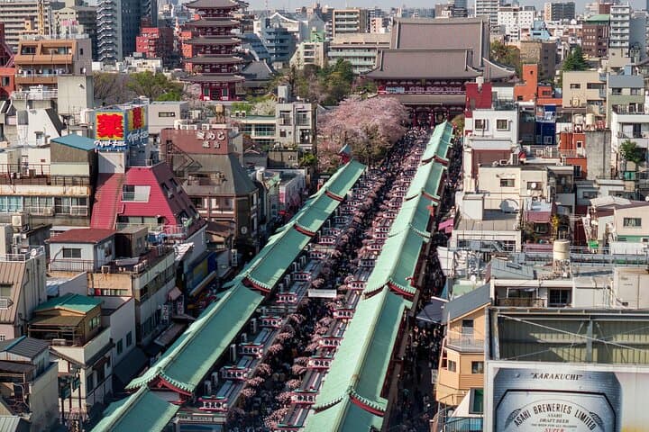 Customizable Muslim-Friendly Tokyo Private Tour with Guide photo 5