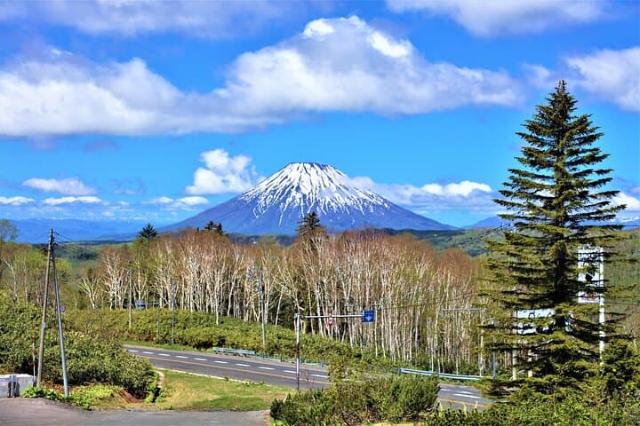 Day Hike and Mt. Usu Ropeway: Shikotsu‑Toya National Park from Sapporo