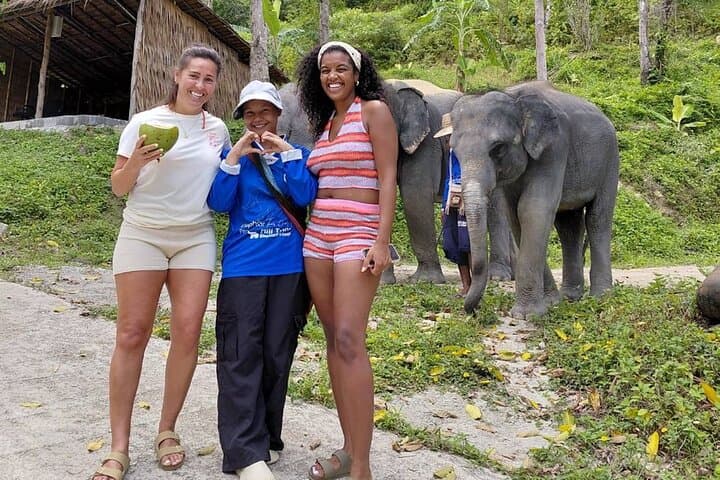 Meet Rescued Elephants: Ethical Sanctuary Visit Near Phuket photo 5