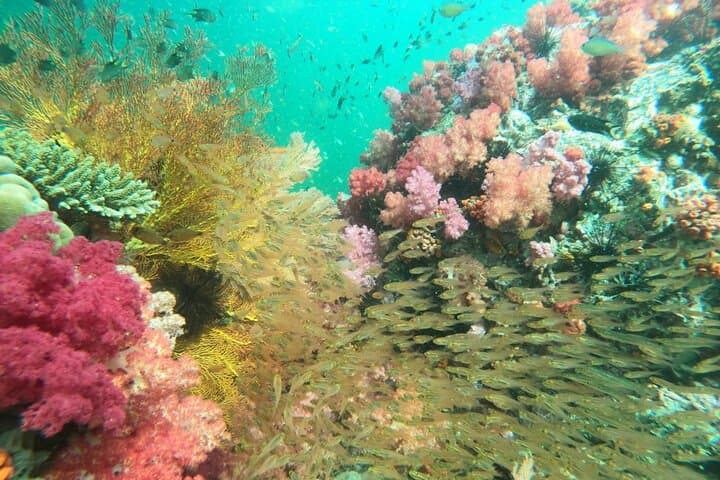 Ko Lipe 8-Island Hopping & Snorkeling Tour: Top Spots, Tips, and What to Expect