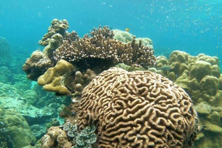 Ko Lipe 8-Island Hopping & Snorkeling Tour: Top Spots, Tips, and What to Expect photo 5