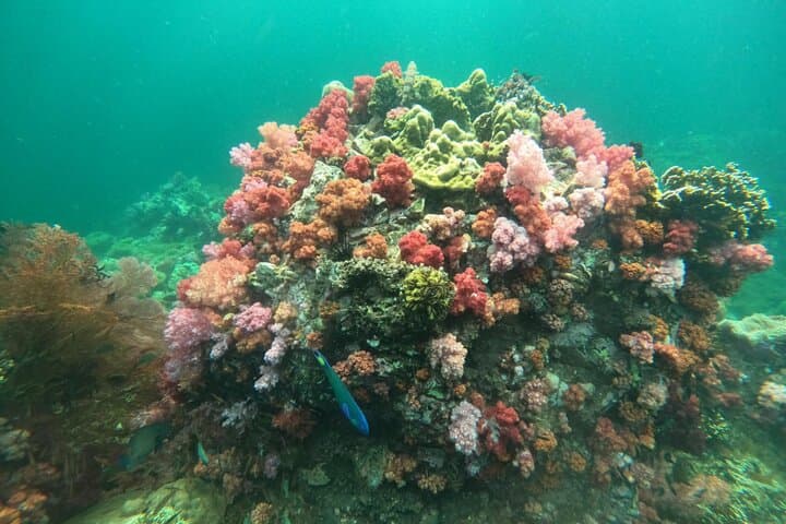 Ko Lipe 8-Island Hopping & Snorkeling Tour: Top Spots, Tips, and What to Expect photo 4