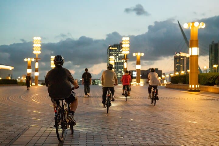 Tokyo Bay Sunset E-Bike Tour: Tsukiji To Odaiba Night Views photo 1