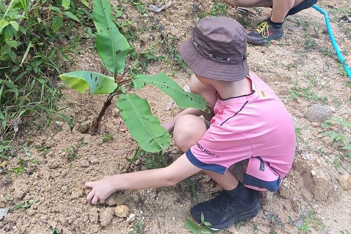 Phuket Elephant Sanctuary Small-Group Tour: Ethical Half-Day with Rescued Elephants photo 6