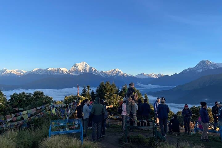 Poon Hill Sunrise: Ghorepani Annapurna Trek (Classic 4-Day) photo 5
