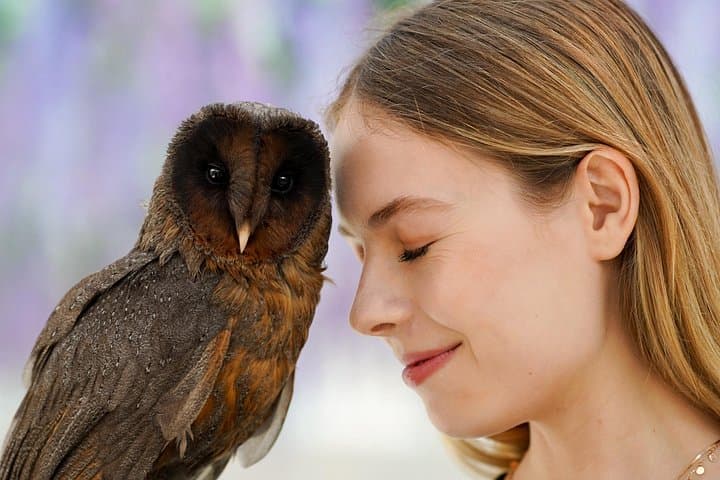 Gyeonggi Begonia Bird Park: Gapyeong’s Garden & Bird Encounter photo 3